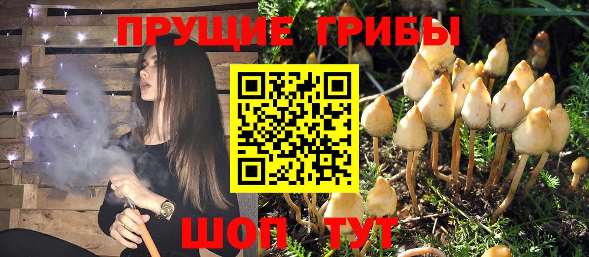 Псилоцибиновые грибы Magic Shrooms Каменка